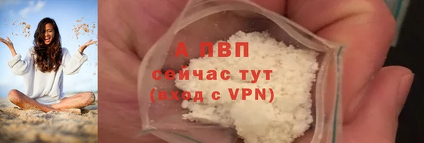 эйфоретик Арсеньев